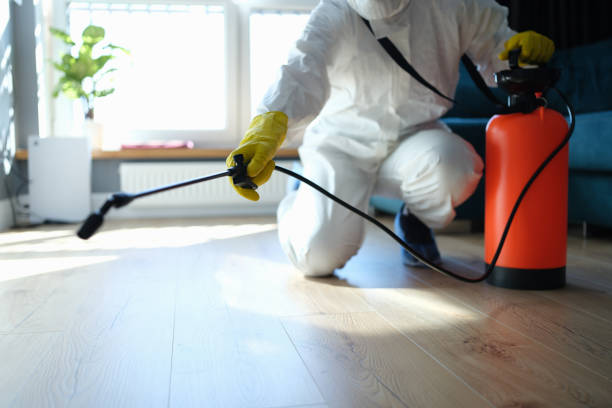 Trusted Trauma Scene Cleanup service in Half Moon Bay, CA - Four Month Blood Cleanse